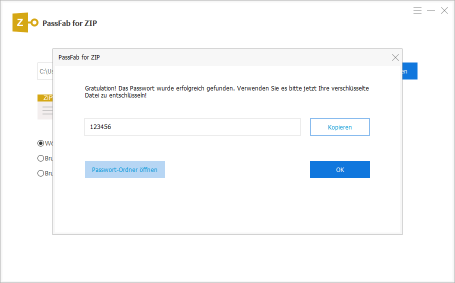 zip password found via passfab for zip