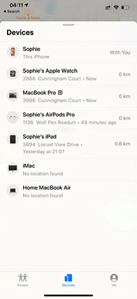 loesche iPhone ohne Passwort